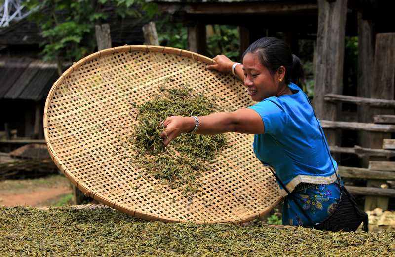 艺术展厅 大益茶摄影大赛优秀奖作品 最佳人物表情奖